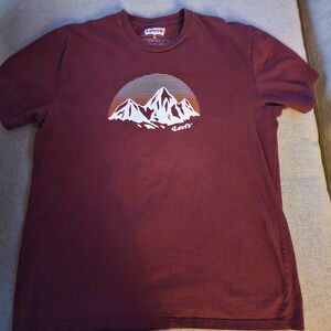 Levi's Men's Maroon Mountain Tee